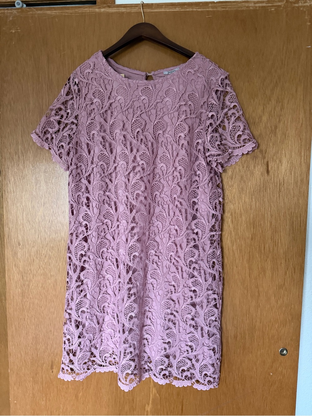 JODIFL Dusty Rose Lace Mini Dress
